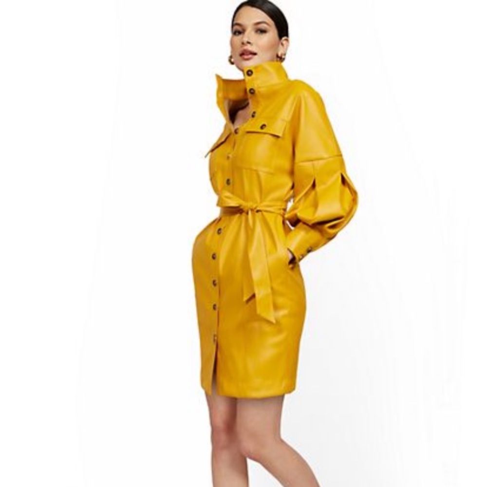 Statement Sleeve Faux Leather Dress